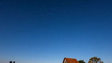 Photo of Жизнь на деревне: свежий воздух и звездное небо